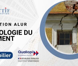 Formation Pathologie du Bâtiment