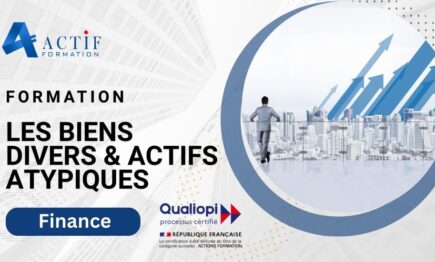 Formation sur les biens divers et les actifs atypiques