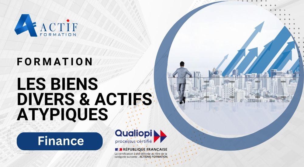 Formation sur les biens divers et actifs atypiques.