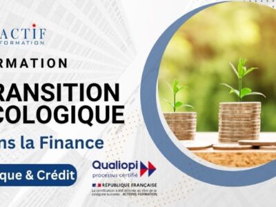La Transition Écologique dans la Finance