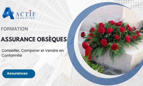 Miniature du cours